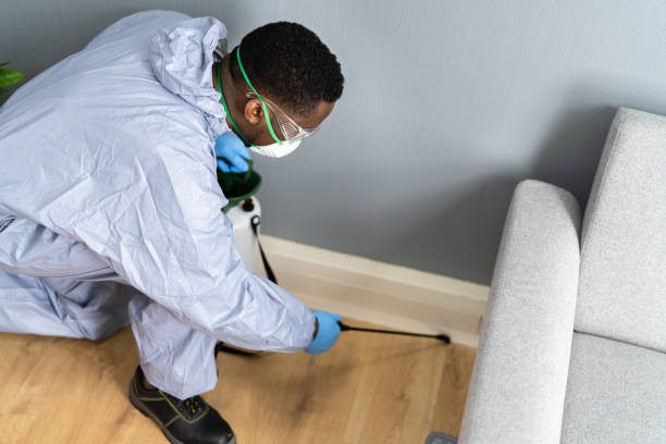 Best Termite Inspection and Treatment  in Herndon, VA